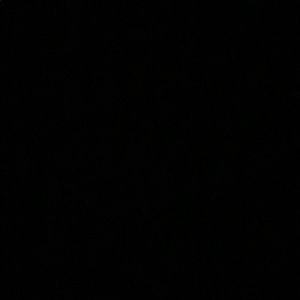 Meet your Posher, Anne